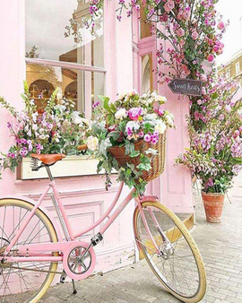 Floral Day Bike Vinci™ Paint-By-Number Kit