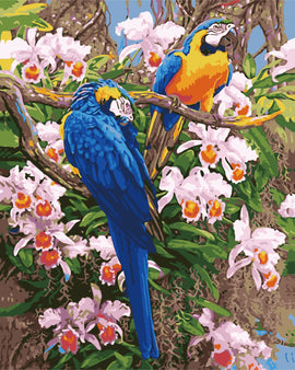 Harmony of Parrots - Vinci™ Paint-By-Number Kit