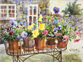 Sun - loving Flowers Vinci™ Paint-By-Number Kit